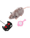 R/c Mouse